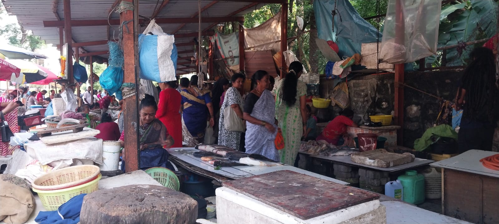 Health Camp